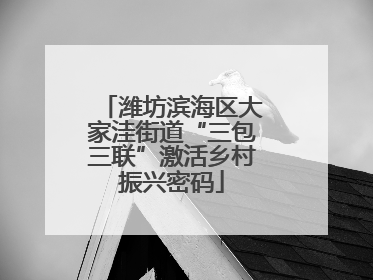 潍坊滨海区大家洼街道“三包三联”激活乡村振兴密码