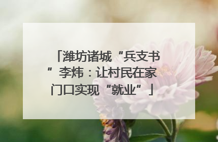 潍坊诸城“兵支书”李炜：让村民在家门口实现“就业”