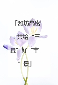 潍坊高密：共绘“三夏”好“丰”景