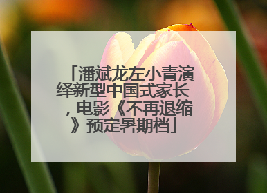 潘斌龙左小青演绎新型中国式家长，电影《不再退缩》预定暑期档