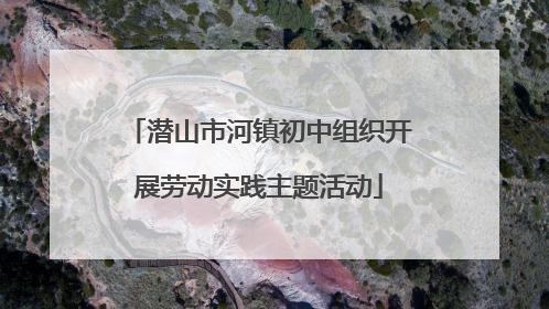 潜山市河镇初中组织开展劳动实践主题活动