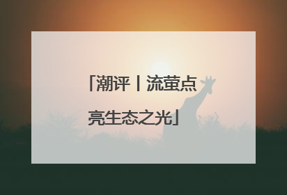 潮评丨流萤点亮生态之光