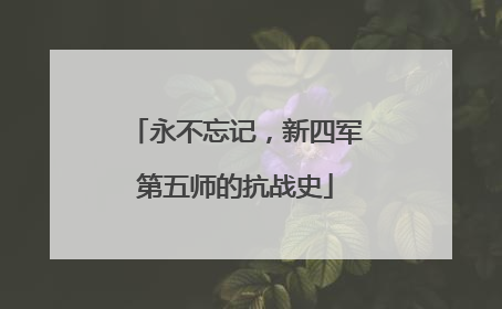 永不忘记，新四军第五师的抗战史