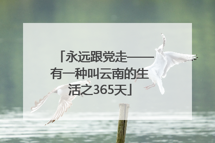 永远跟党走——有一种叫云南的生活之365天