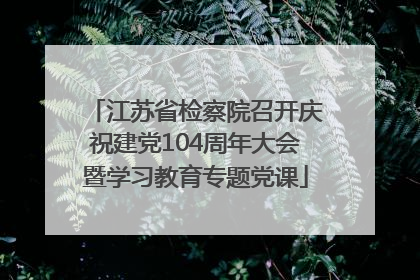 江苏省检察院召开庆祝建党104周年大会暨学习教育专题党课