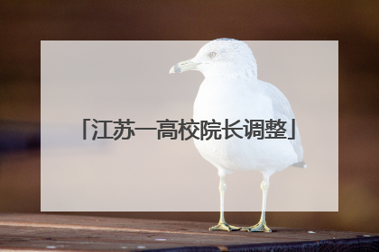 江苏一高校院长调整