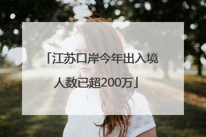 江苏口岸今年出入境人数已超200万