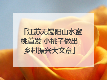 江苏无锡阳山水蜜桃首发 小桃子做出乡村振兴大文章