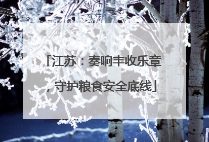 江苏：奏响丰收乐章，守护粮食安全底线