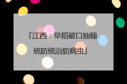 江西：早稻破口抽穗 统防统治防病虫