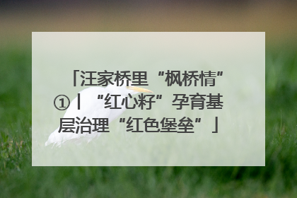 汪家桥里“枫桥情”①丨“红心籽”孕育基层治理“红色堡垒”
