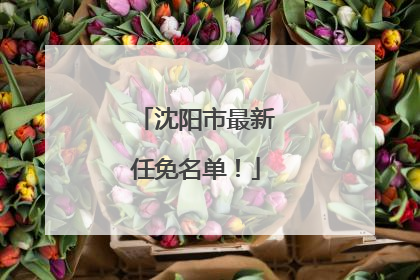 沈阳市最新任免名单！