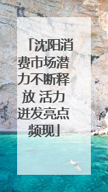沈阳消费市场潜力不断释放 活力迸发亮点频现