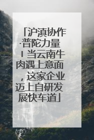 沪滇协作·普陀力量〡当云南牛肉遇上意面，这家企业迈上自研发展快车道