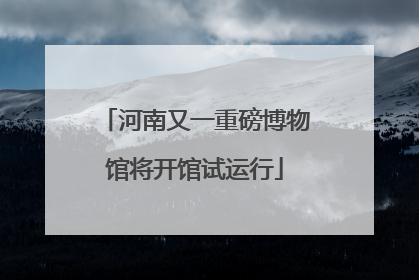 河南又一重磅博物馆将开馆试运行