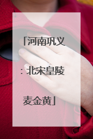 河南巩义：北宋皇陵麦金黄