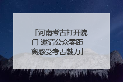 河南考古打开院门 邀请公众零距离感受考古魅力