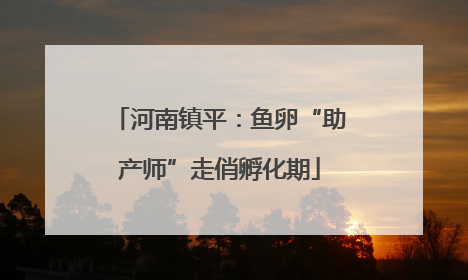 河南镇平：鱼卵“助产师”走俏孵化期