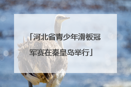 河北省青少年滑板冠军赛在秦皇岛举行