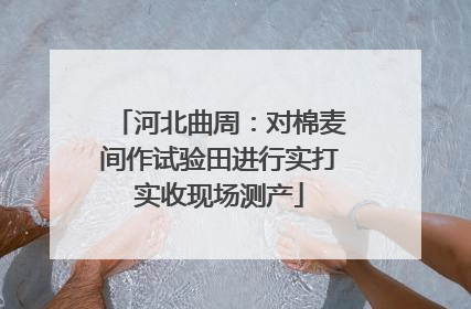 河北曲周：对棉麦间作试验田进行实打实收现场测产