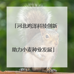 河北鸡泽科技创新助力小麦种业发展