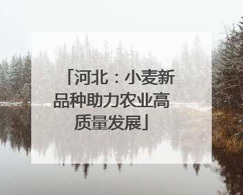 河北：小麦新品种助力农业高质量发展