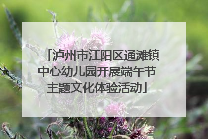 泸州市江阳区通滩镇中心幼儿园开展端午节主题文化体验活动