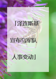 泽连斯基宣布乌军队人事变动