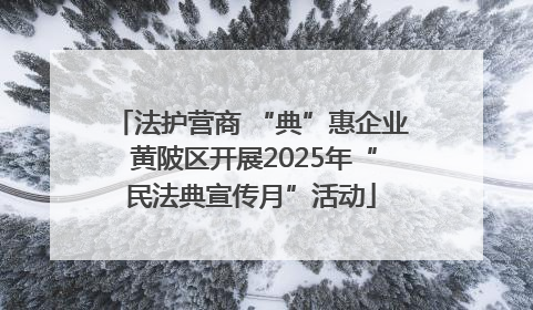 法护营商 “典”惠企业 黄陂区开展2025年“民法典宣传月”活动
