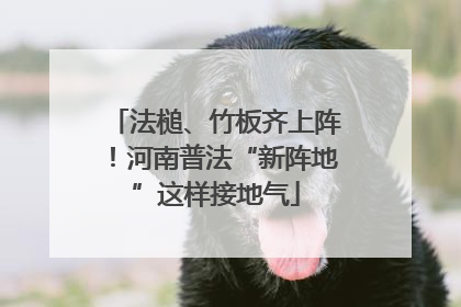 法槌、竹板齐上阵！河南普法“新阵地”这样接地气