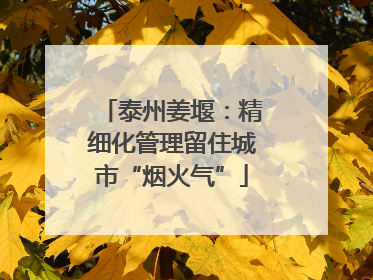 泰州姜堰：精细化管理留住城市“烟火气”
