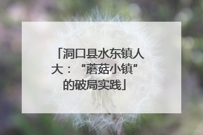 洞口县水东镇人大：“蘑菇小镇”的破局实践