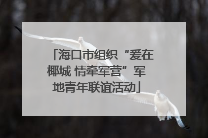 海口市组织“爱在椰城 情牵军营”军地青年联谊活动