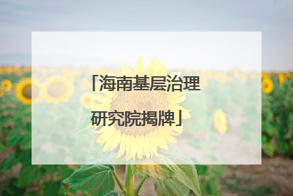 海南基层治理研究院揭牌