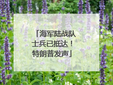 海军陆战队士兵已抵达！特朗普发声