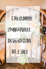 海北刚察沙柳河镇社区运动会精彩上演