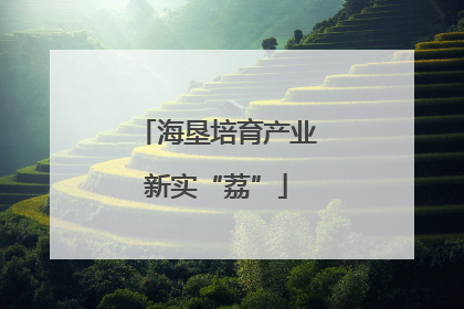 海垦培育产业新实“荔”