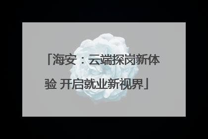 海安：云端探岗新体验 开启就业新视界