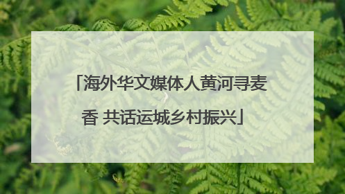 海外华文媒体人黄河寻麦香 共话运城乡村振兴