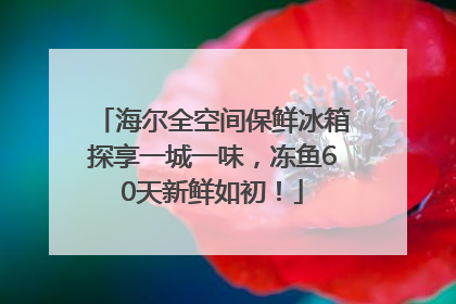 海尔全空间保鲜冰箱探享一城一味，冻鱼60天新鲜如初！