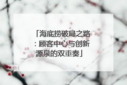 海底捞破局之路：顾客中心与创新源泉的双重奏