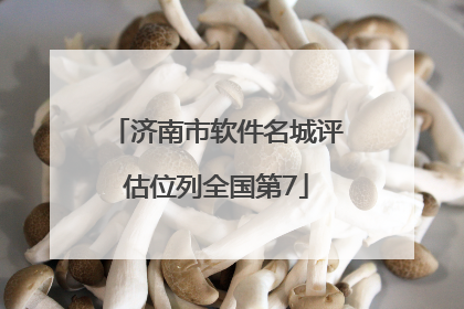 济南市软件名城评估位列全国第7