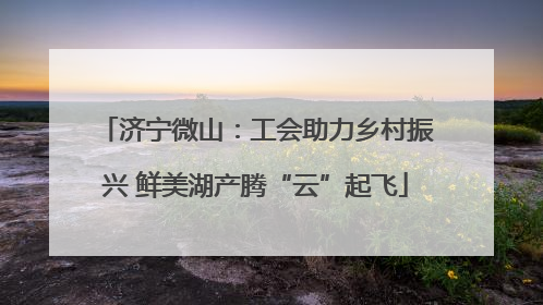 济宁微山：工会助力乡村振兴 鲜美湖产腾“云”起飞