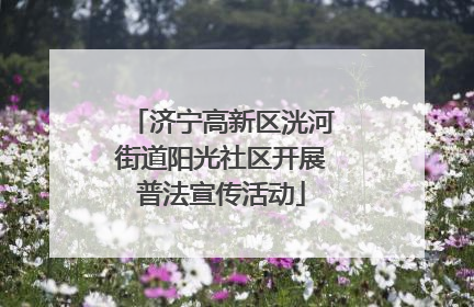 济宁高新区洸河街道阳光社区开展普法宣传活动
