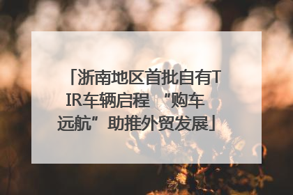浙南地区首批自有TIR车辆启程 “购车远航”助推外贸发展