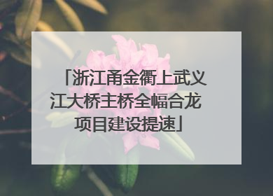 浙江甬金衢上武义江大桥主桥全幅合龙 项目建设提速