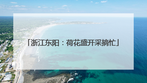 浙江东阳：荷花盛开采摘忙