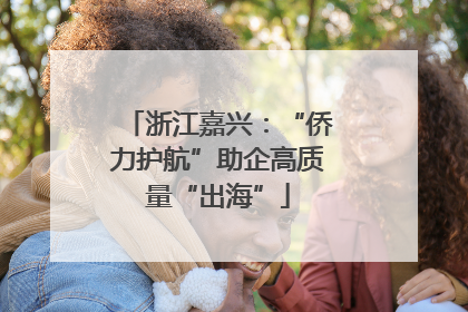 浙江嘉兴：“侨力护航”助企高质量“出海”