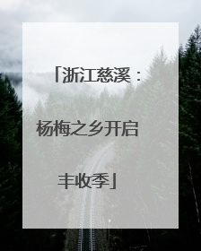 浙江慈溪：杨梅之乡开启丰收季