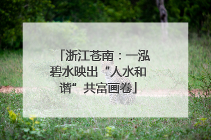 浙江苍南：一泓碧水映出“人水和谐”共富画卷